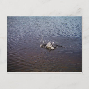 Carte Postale Des vagues dans un lac, d'un poisson sautant