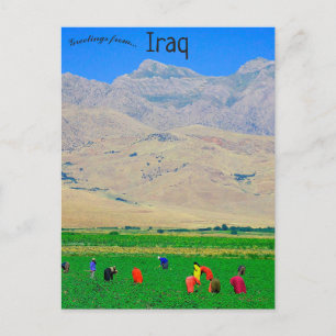 Carte Postale Des villageois kurdes irakiens en Irak