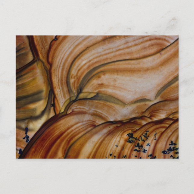 Carte Postale Deschutes Jasper de couleur Brown (Devant)