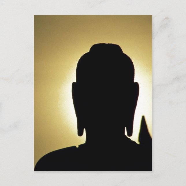 Carte Postale Description : Coucher de soleil dans le parc histo (Devant)