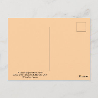 Carte Postale Desert Bighorn - Valley of Fire State Park, Nevada