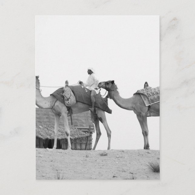 Carte Postale Désert de B&W Dubai (Devant)
