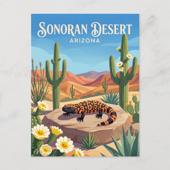 Carte Postale Désert de Sonora États-Unis (Devant)