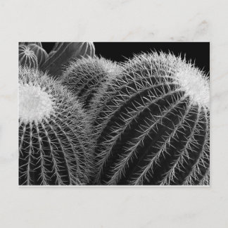 Carte Postale Désert foncé.