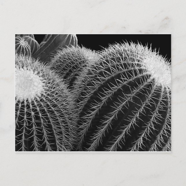 Carte Postale Désert foncé. (Devant)