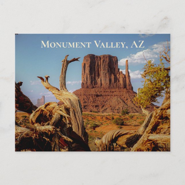 Carte Postale Desert Southwest Monument Valley Arizona (Devant)