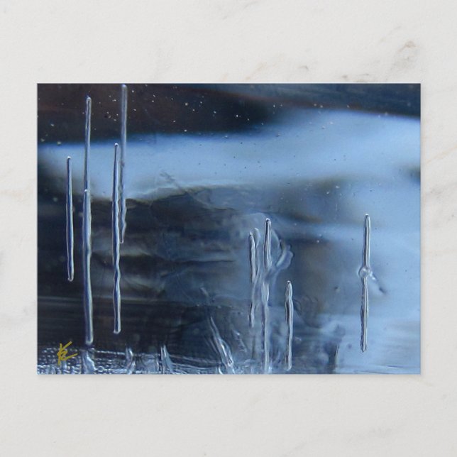 Carte Postale Desert Vision Quest, Saguaro la nuit (Devant)