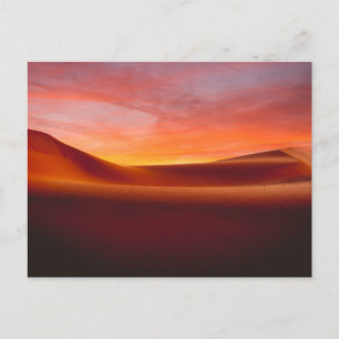 Carte Postale Déserts Paysage désertique ondoyant