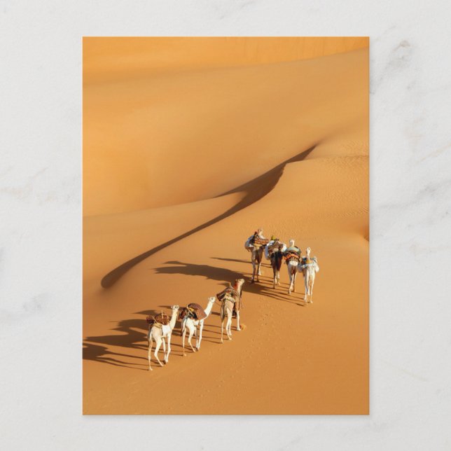 Carte Postale Deserts | Tuareg Walk with Camels (Devant)