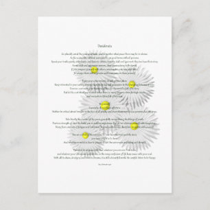 Carte Postale Desiderata avec marguerites