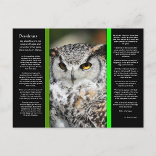Carte postale DESIDERATA Great Horn Owen 1