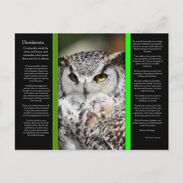 Carte postale DESIDERATA Great Horn Owen 1 (Devant)