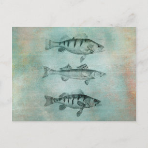 Carte Postale Design de poisson texturé en bois