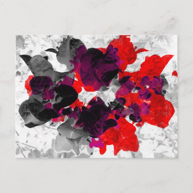 Carte Postale Design floral Abstrait - rouge et violet sur blanc (Devant)
