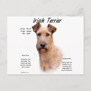 Carte Postale Design historique du Terrier irlandais