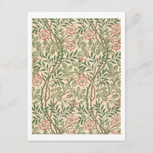 Carte Postale Design 'Sweet Briar' pour papier peint, imprimé pa