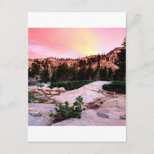 Carte Postale Desolation forestière Wilderness Eldorado