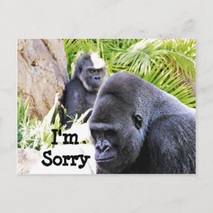 Carte Postale Désolé !_