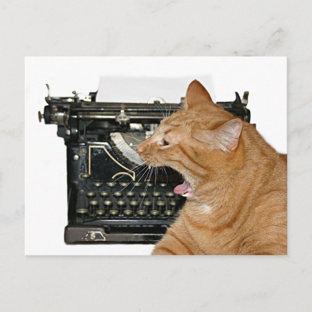 Carte Postale Désolé de ne pas avoir écrit (Devant)