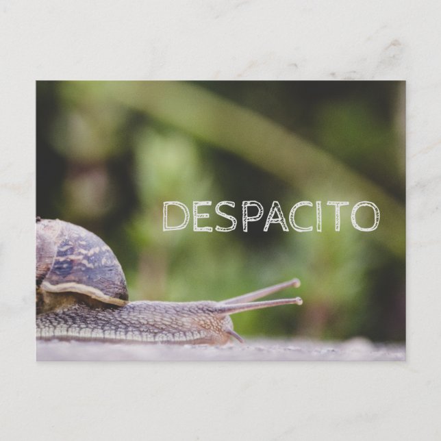 Carte Postale Despacito (Devant)