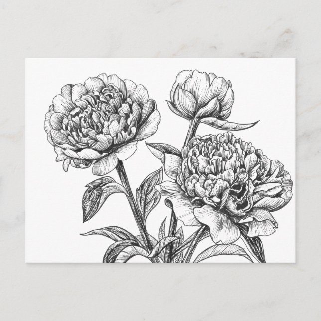 Carte Postale Dessin à encre de rose (Devant)