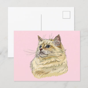 Carte Postale Dessin à la main drôle fluffy Ragdoll chat
