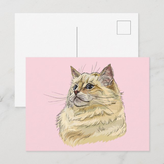 Carte Postale Dessin à la main drôle fluffy Ragdoll chat (Devant / Derrière)