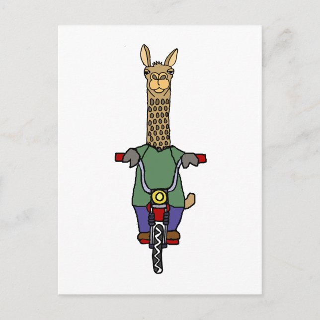 Carte Postale Dessin à vélo cool Llama équitation (Devant)