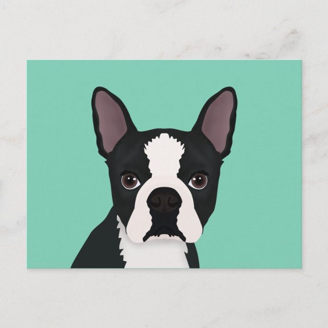 Carte Postale dessin animé de boston terrier (Devant)