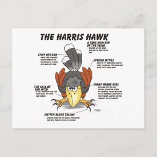 Carte Postale Dessin animé de la buse de Harris