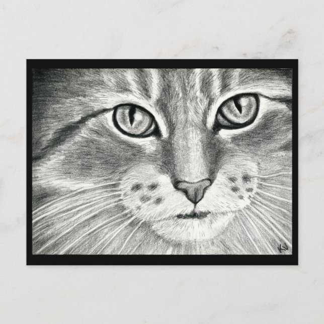Carte Postale dessin au crayon de réalisme de chats mignons (Devant)
