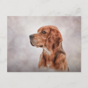 Carte Postale Dessin Beagle de chien