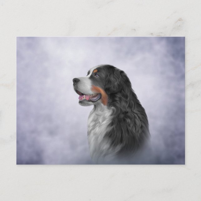 Carte Postale Dessin Bernese Mountain Dog (Devant)