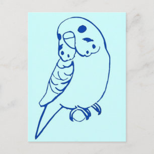 Carte Postale Dessin Budgie