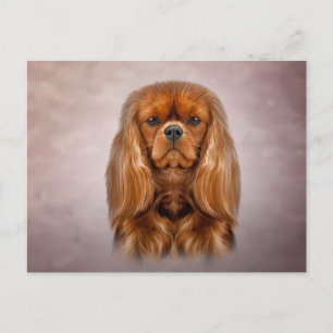 Carte Postale Dessin Chien Cavalier King Charles Spaniel
