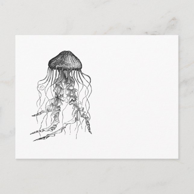 Carte Postale Dessin crayon noir et blanc de méduse (Devant)