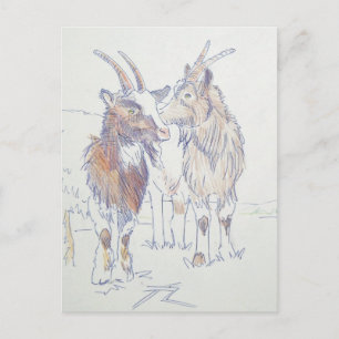 Carte Postale Dessin de chèvre - Les frères