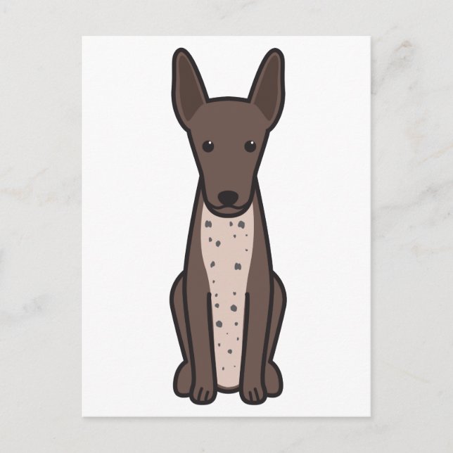 Carte Postale Dessin de Chien Xoloitzcuintli (Devant)