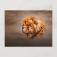 Dessin de chow chow chow