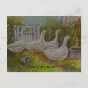 Carte Postale Dessin de Joanne Casey de Four Irish Geese Pastel 