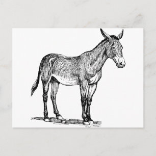 Carte Postale Dessin de la molécule, têtu