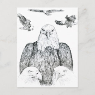 Carte Postale Dessin de l'aigle à balles
