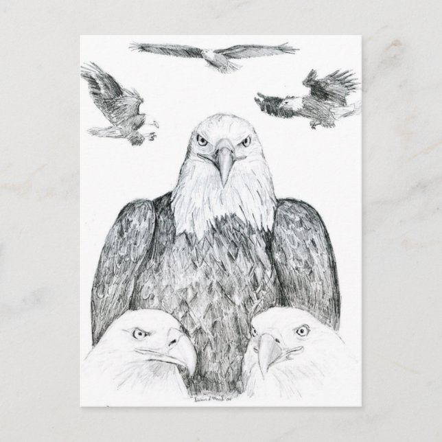 Carte Postale Dessin de l'aigle à balles (Devant)