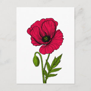Carte Postale Dessin de pavot rouge