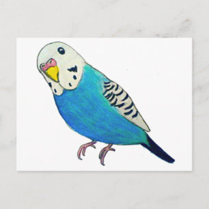 Carte Postale Dessin de perruque
