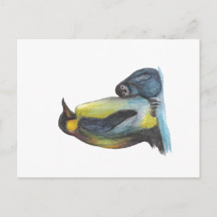 Carte postale Dessin de pingouins