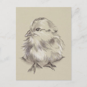 Carte Postale Dessin de poussette noir et blanc sur bande
