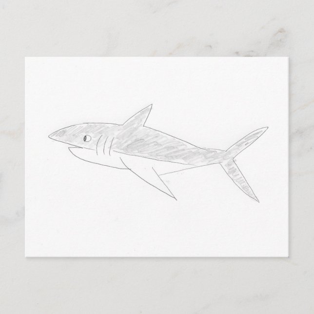 Carte Postale Dessin de requins (Devant)