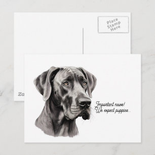 Carte Postale Dessin de tête de Dogue allemand
