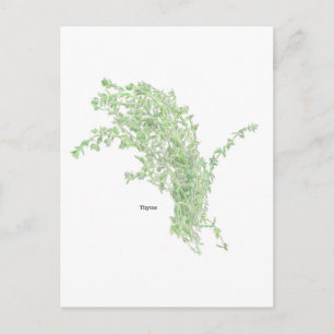 Carte Postale Dessin de thym